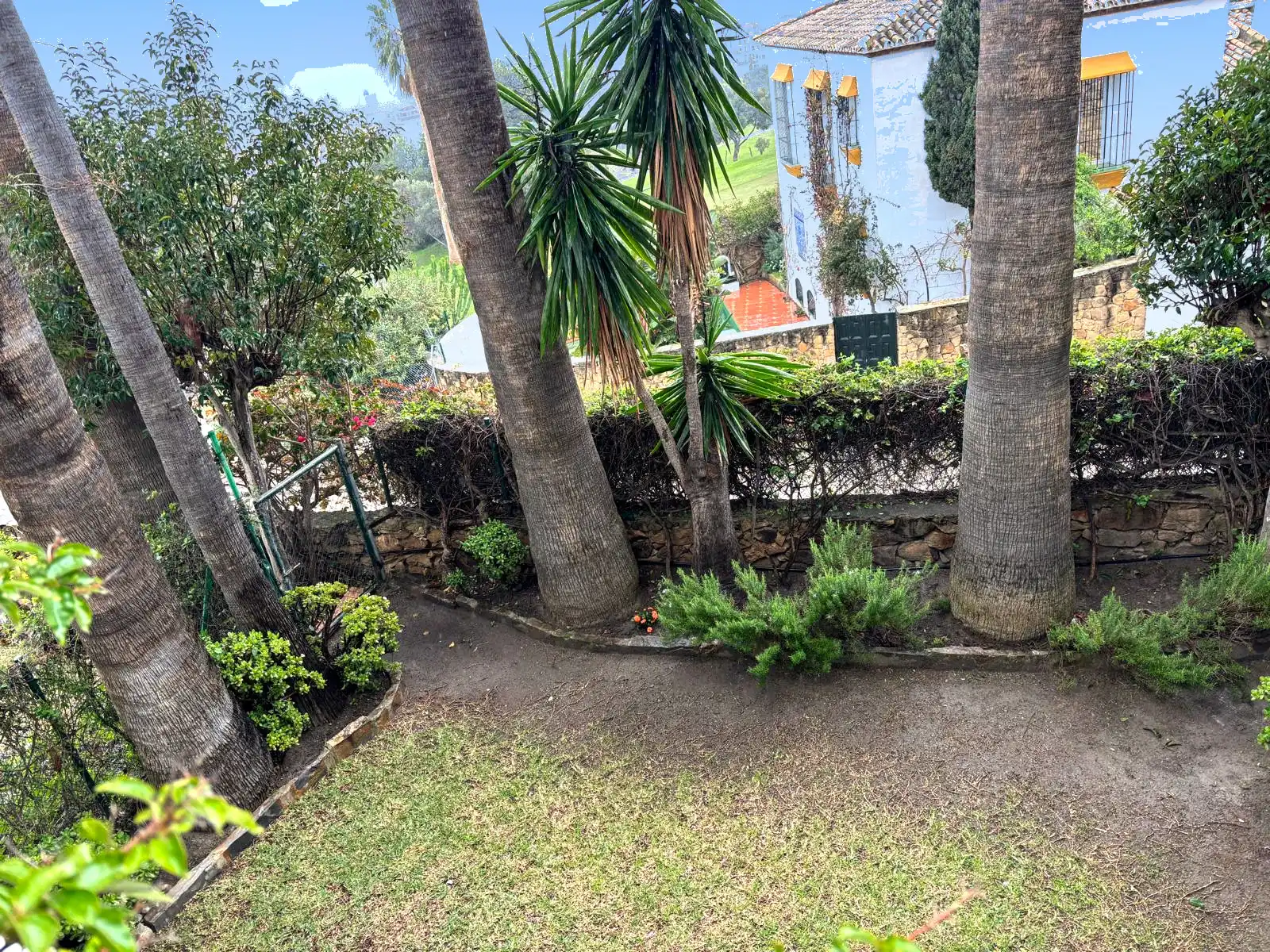 Private garden with lawn, palm trees and mature landscaping at the Brisas II, Manilva home.