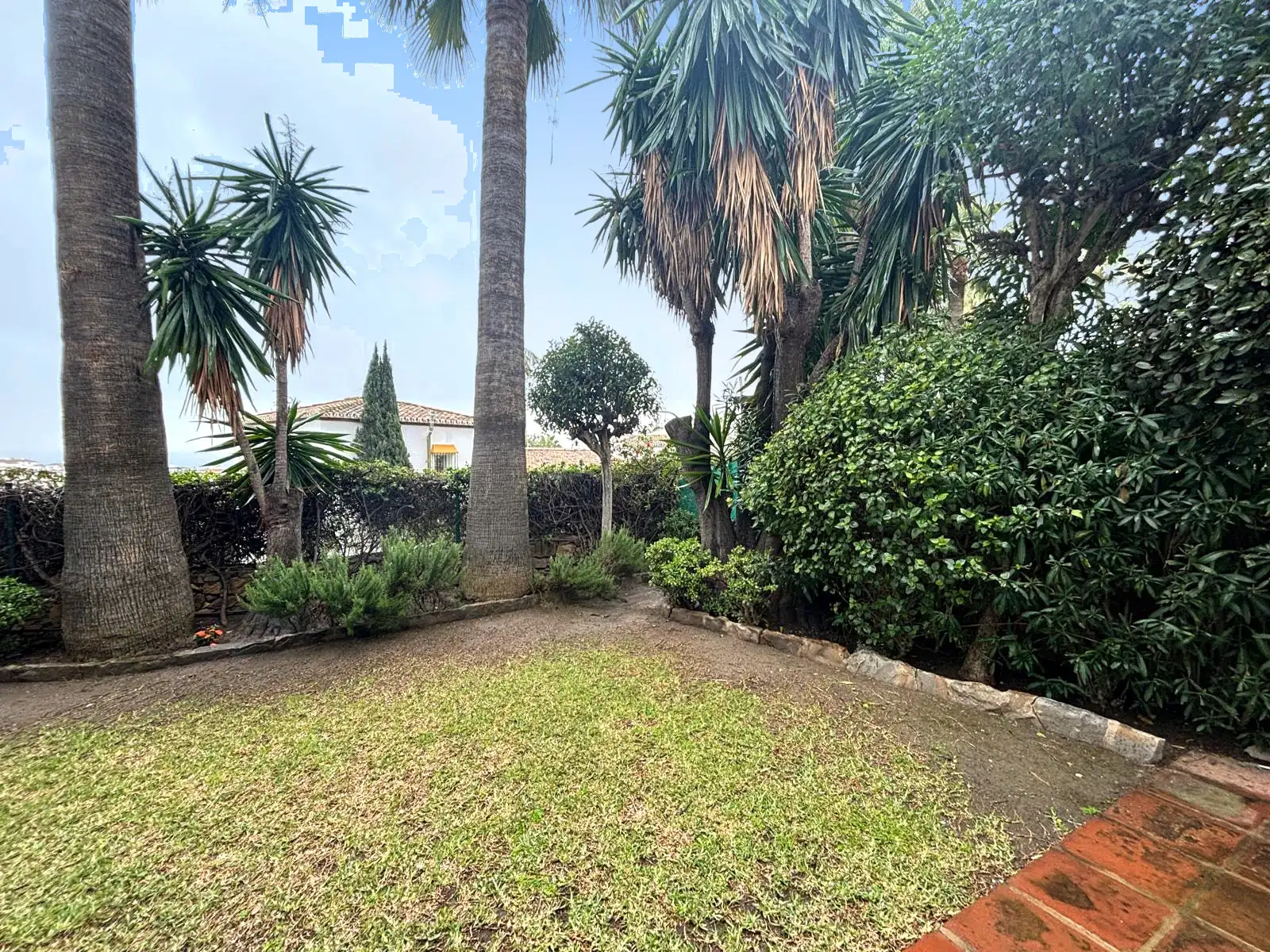 Privatgarten mit Rasen und gewachsener Bepflanzung rund um Palmen in Brisas II, Manilva.