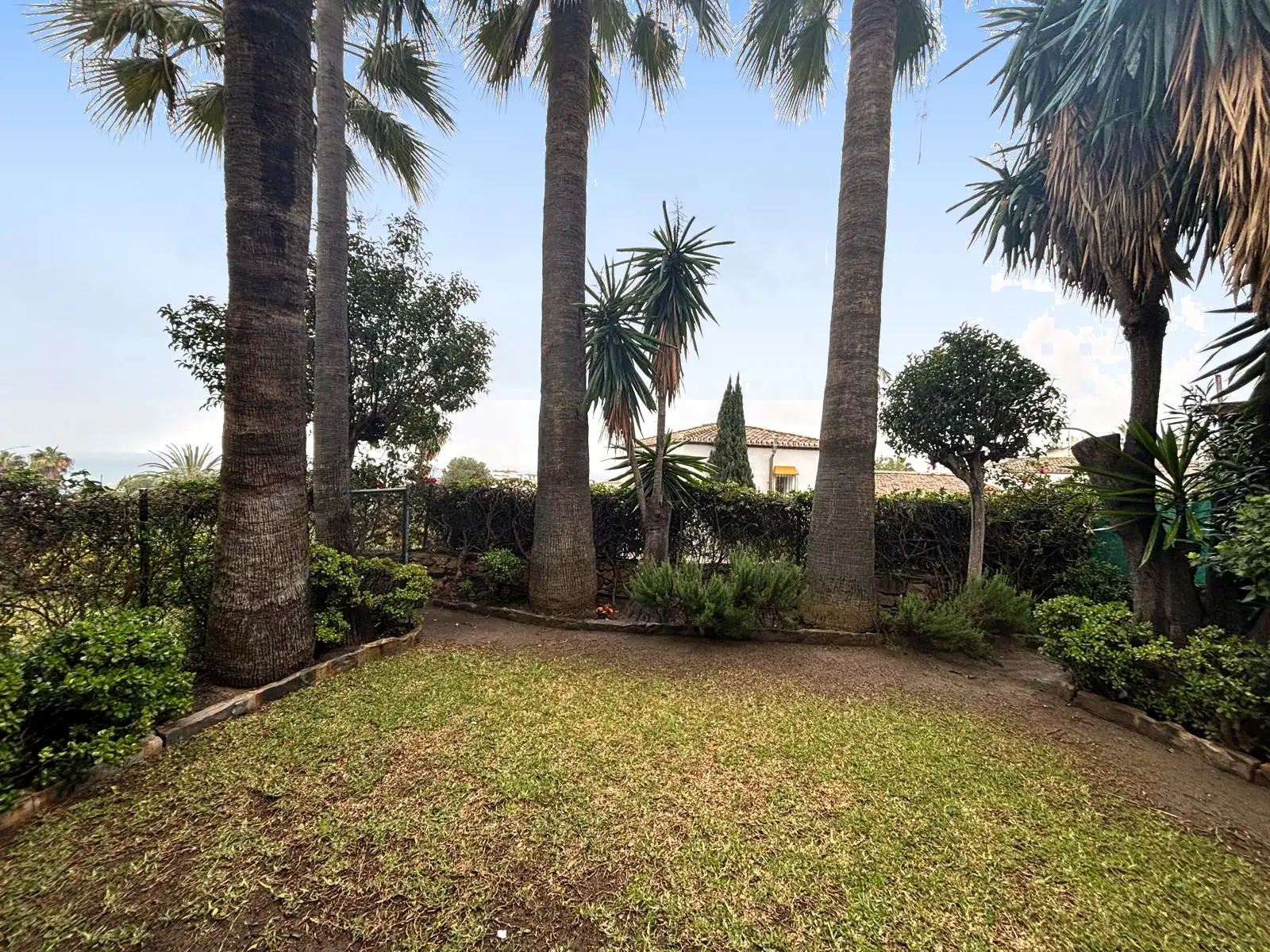 Privatgarten mit Rasen, Palmen und offenem Blick durch die Bepflanzung in Brisas II, Manilva.